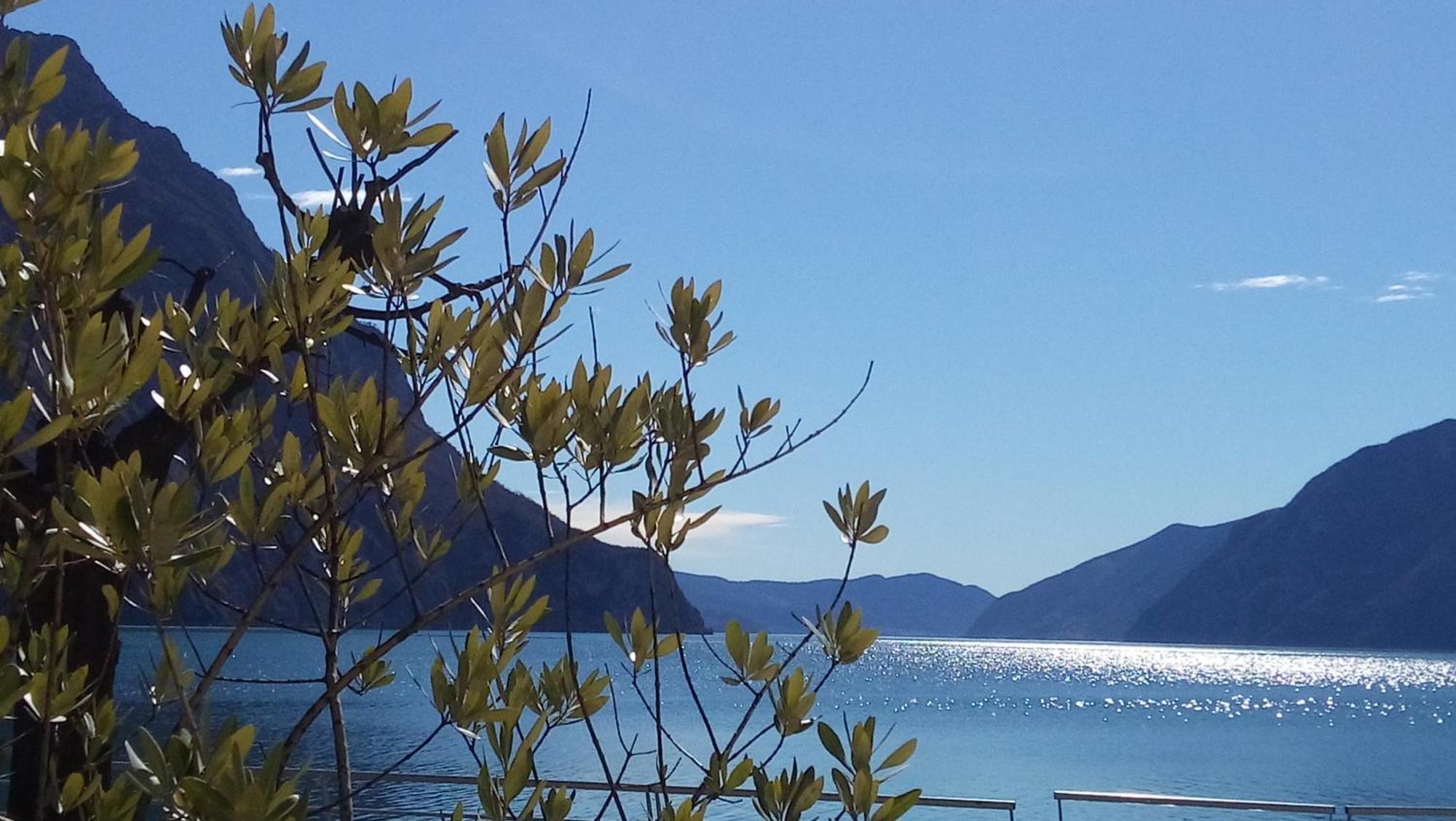 Ca Del Lac Castro  Екстериор снимка